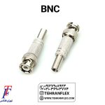 BNC