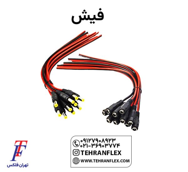 فیش
